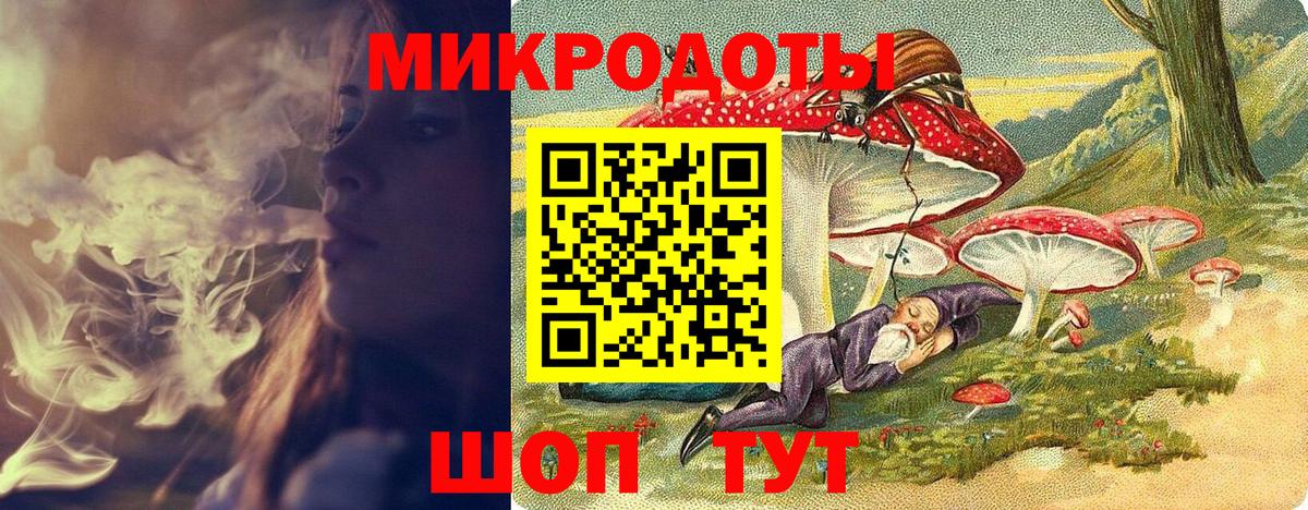 Галлюциногенные грибы Psilocybine cubensis  Вход с VPN  Псилоцибиновые грибы прущие грибы  Чехов 